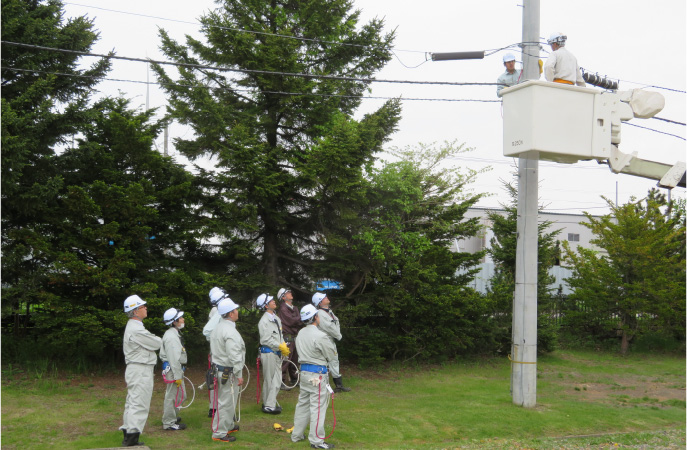 配電柱3基